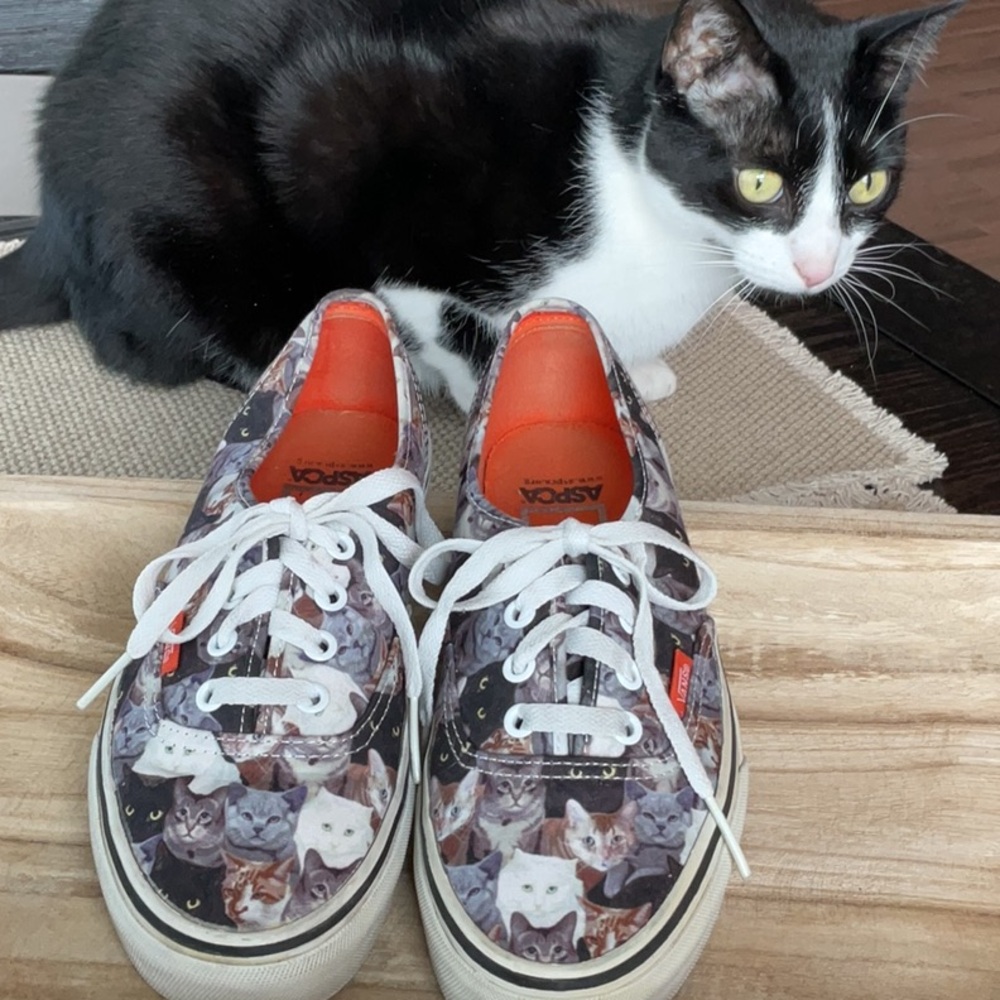 Vans Cat Canvas